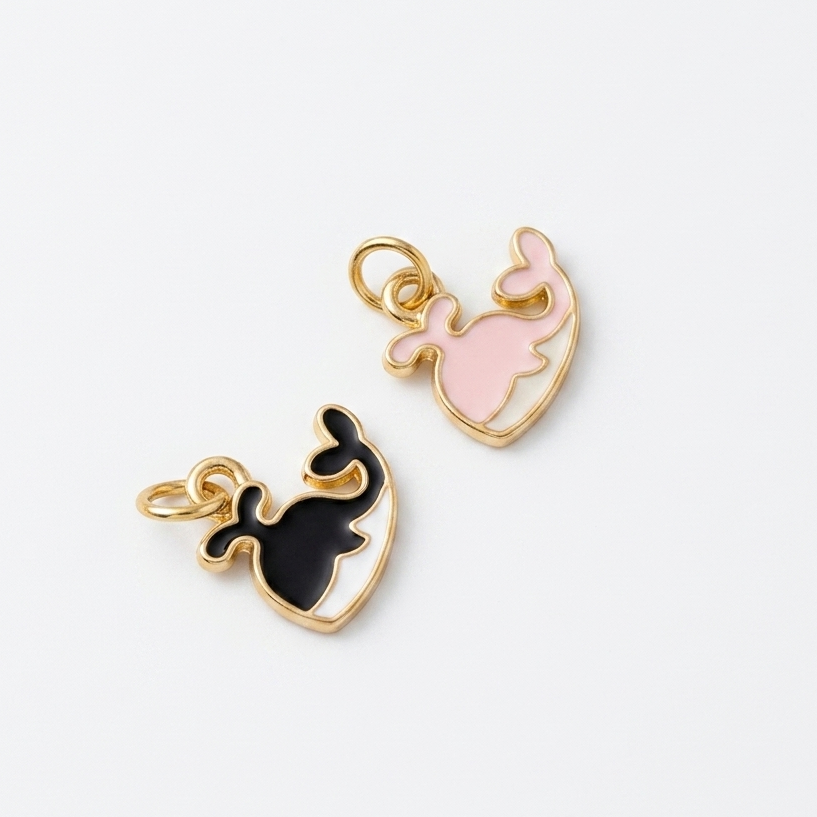 DOLPHIN CHARM